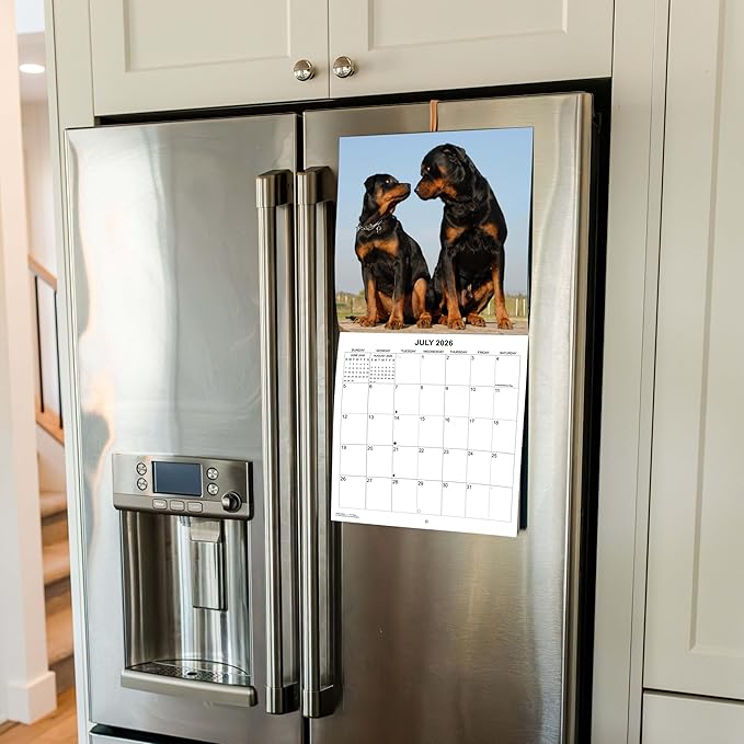 2026 Rottweilers Monthly Wall Calendar | Dogs Calendar September 2025 - December 2026