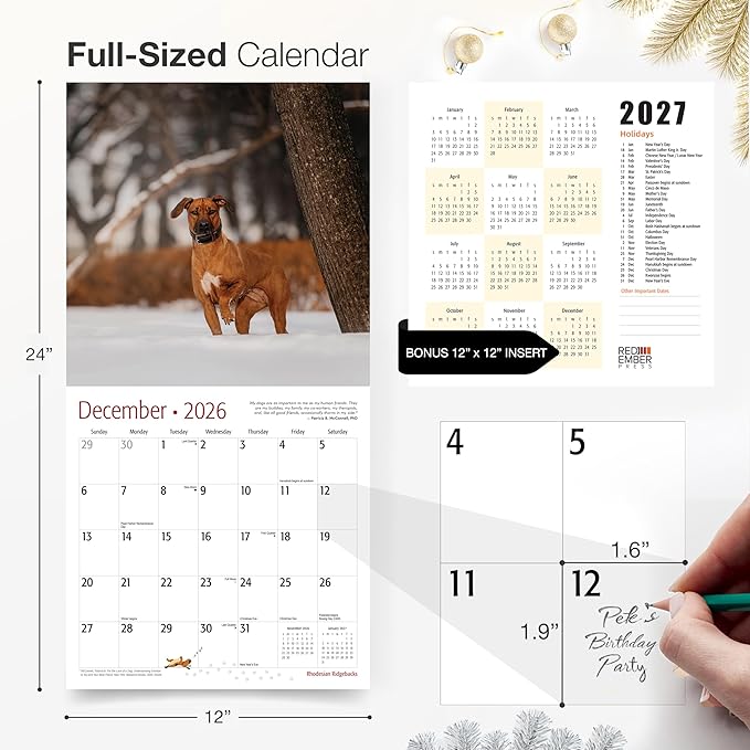 RED EMBER Rhodesian Ridgebacks 2026 Wall Calendar 12 Month | 12" x 24" Open | Thick & Sturdy Paper | Holiday Gift | Cute Puppy Dog Calendar 2026