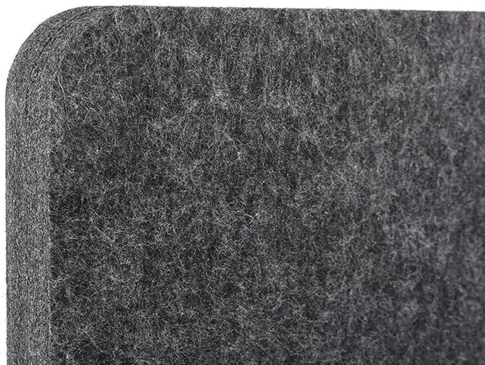 Stand Up Desk Store ReFocus Raw Freestanding Acoustic Desk Divider Privacy Panel to Reduce Noise and Visual Distractions (Anthracite Gray, 23.6" x 62")