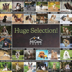 MICASA PRESS - German Shepherds 2025 Wall Calendar 12 Month | 12" x 24" Open | Thick & Sturdy Paper | Giftable | Dog Calendar 2025