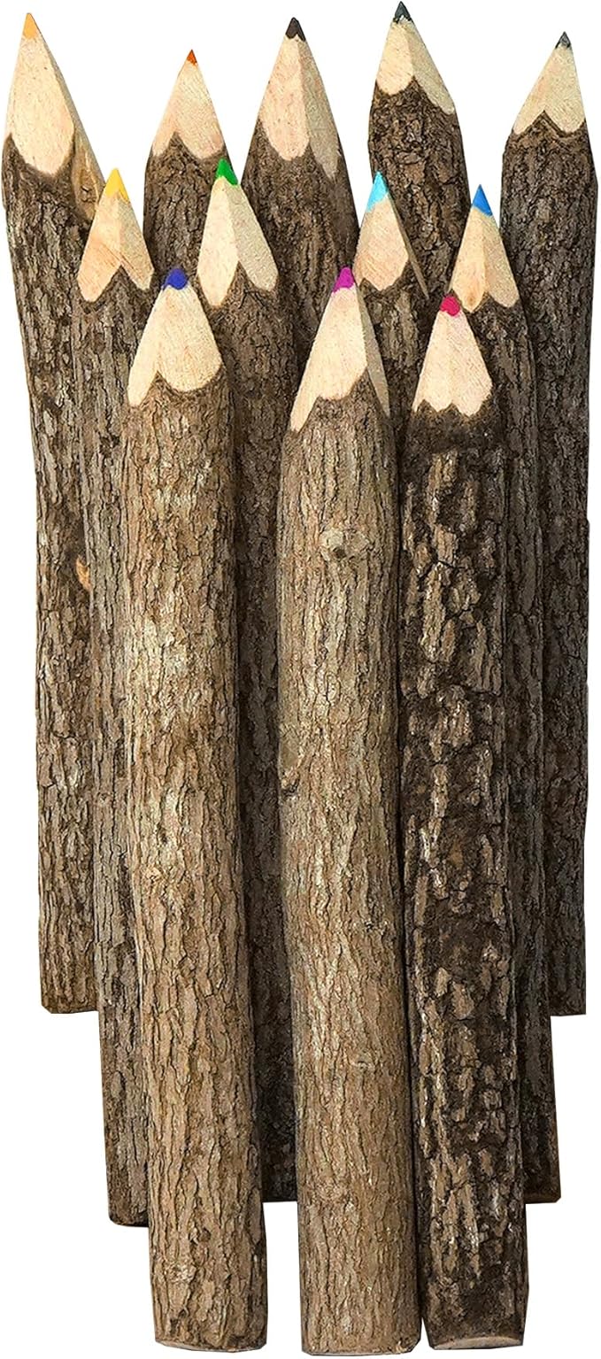 Assorted-Stick Twig Colored Outdoor Wooden Pencils Tree Child Camping Decorative Color