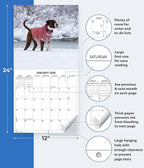 2026 Boxers Monthly Wall Calendar | Boxer Dog Breed 2026 Wall Calendar 2025-2026