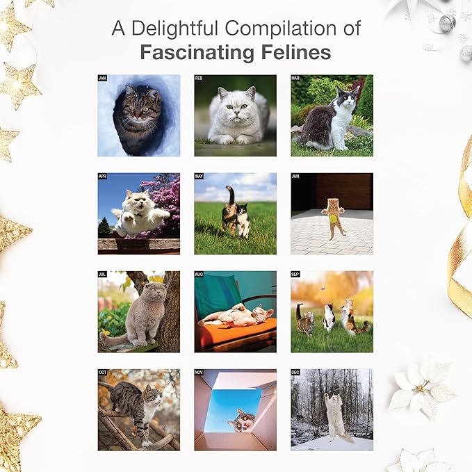 RED EMBER A Cat's Life 2026 Wall Calendar 12 Month | 12" x 24" Open | Thick & Sturdy Paper | Holiday Gift | Cute Kitten Cat Calendar 2026