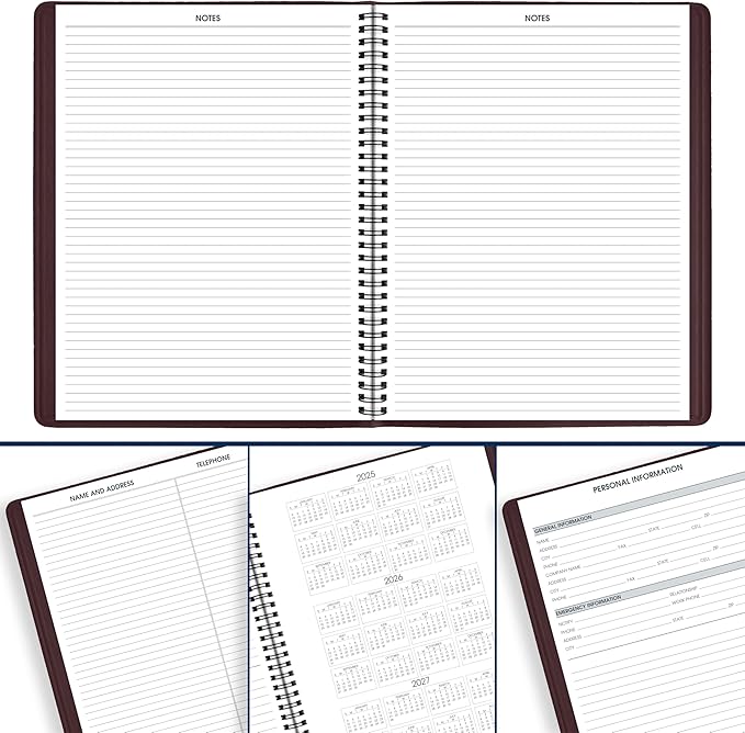 AT-A-GLANCE 2026 Appointment Book Planner, Weekly, 8-1/4" x 11", Large, Winestone (709505026)