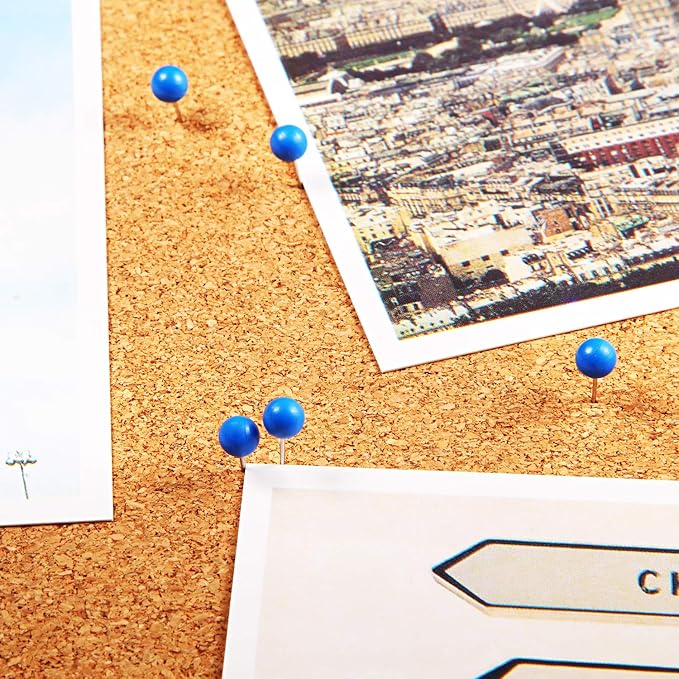 WILLBOND 500 Pack Map Push Pins Map Tacks Small Round Head Push Pins Thumb Tacks for Travel Picture Photo Bulletin Board Wall DIY Craft School Office Home(Blue,1/8 Inch)