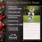MICASA PRESS - Miniature Schnauzers 2025 Wall Calendar 12 Month | 12" x 24" Open | Thick & Sturdy Paper | Giftable | Calendar 2025