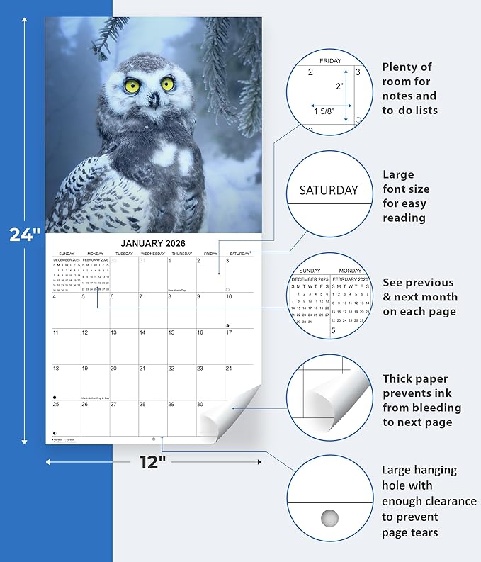 2026 Owls Monthly Wall Calendar | Animals Calendar 2025-2026