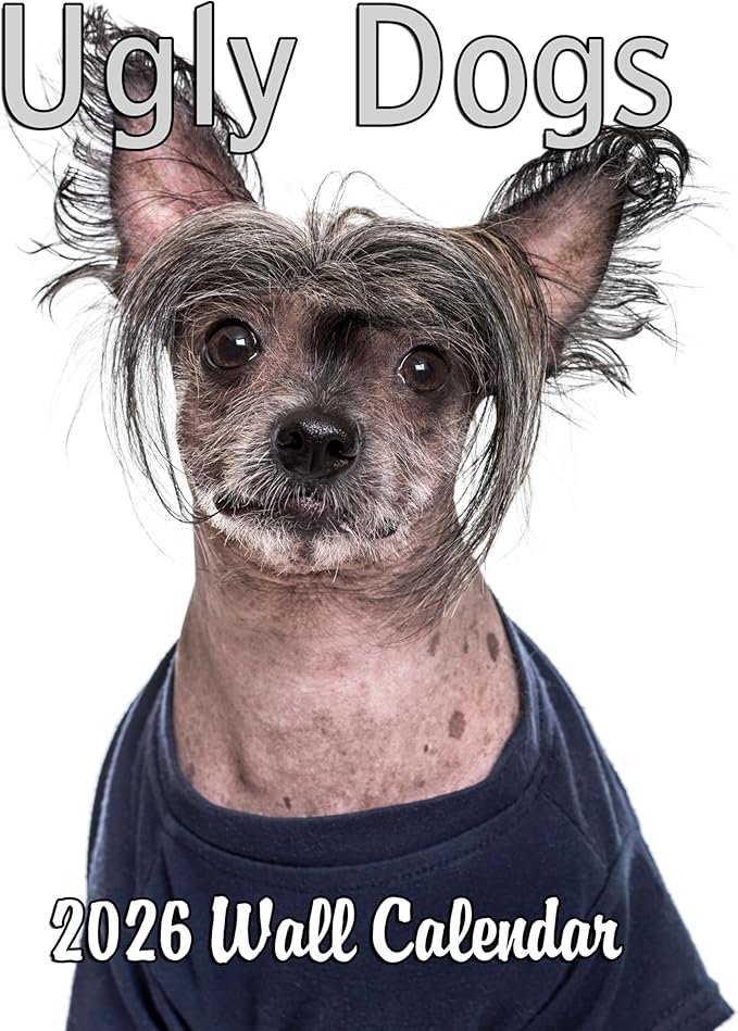 2026 Ugly Dogs Monthly Wall Calendar | Funny White Elephant Gift Gag Gift Calendar September 2025 - December 2026