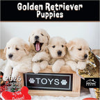 MICASA PRESS Golden Retriever Puppies 2026 Wall Calendar 12 Month | 12" x 24" Open | Thick & Sturdy Paper | Holiday Gift | Cute Puppy Dog Calendar 2026