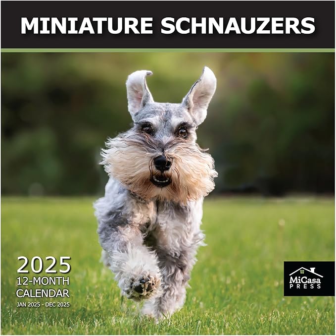 MICASA PRESS - Miniature Schnauzers 2025 Wall Calendar 12 Month | 12" x 24" Open | Thick & Sturdy Paper | Giftable | Calendar 2025