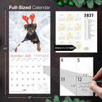 MICASA PRESS Rottweilers 2026 Wall Calendar 12 Month | 12" x 24" Open | Thick & Sturdy Paper | Holiday Gift | Cute Puppy Dog Calendar 2026