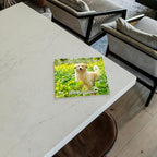 2026 Golden Retrievers Monthly Wall Calendar | Cute Dogs Calendar September 2025 - December 2026