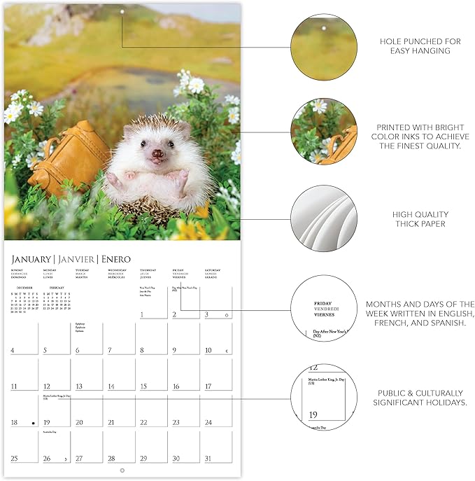 Graphique 2026 Happiest Hedgehogs Wall Calendar | 12” x 12” | Thick Paper | Home & Office Organizer | Large Monthly Grid | 3 Languages & Marked Holidays | 4 Month Preview Page for 2027