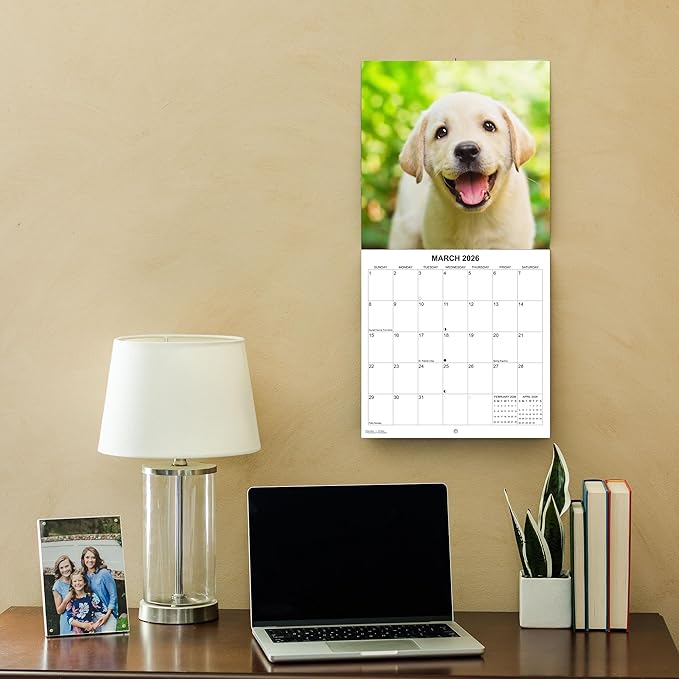 2026 Puppies Monthly Wall Calendar | Cute Dogs Calendar September 2025 - December 2026