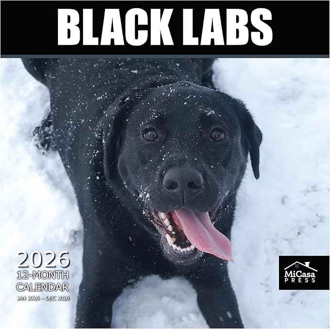 MICASA PRESS Black Labs 2026 Wall Calendar 12 Month | 12" x 24" Open | Thick & Sturdy Paper | Holiday Gift | Cute Labrador Retriever Puppy Dog Calendar 2026