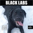 MICASA PRESS Black Labs 2026 Wall Calendar 12 Month | 12" x 24" Open | Thick & Sturdy Paper | Holiday Gift | Cute Labrador Retriever Puppy Dog Calendar 2026