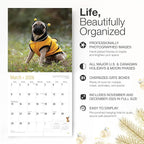 RED EMBER Pugs 2026 Wall Calendar 12 Month | 12" x 24" Open | Thick & Sturdy Paper | Holiday Gift | Cute Puppy Dog Calendar 2026