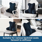 Ailuteie Lumbar Support Pillow(Pat. Pend) – Multi-Functional Ergonomic Back Cushion for Office Chair, Car Seat & Sofa, Reading Pillow with Firm Multi-Zone Support to Relieve Lower Back Pain,Teal Blue