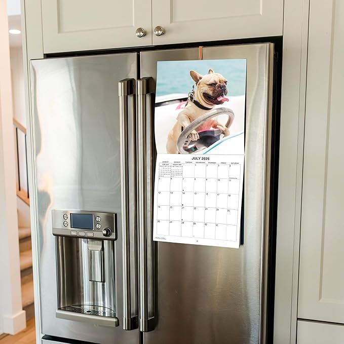2026 French Bulldogs Monthly Wall Calendar | Cute Dog Calendar 2025-2026