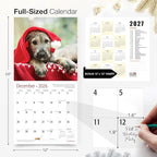 RED EMBER Irish Wolfhounds 2026 Wall Calendar 12 Month | 12" x 24" Open | Thick & Sturdy Paper | Holiday Gift | Cute Puppy Dog Calendar 2026