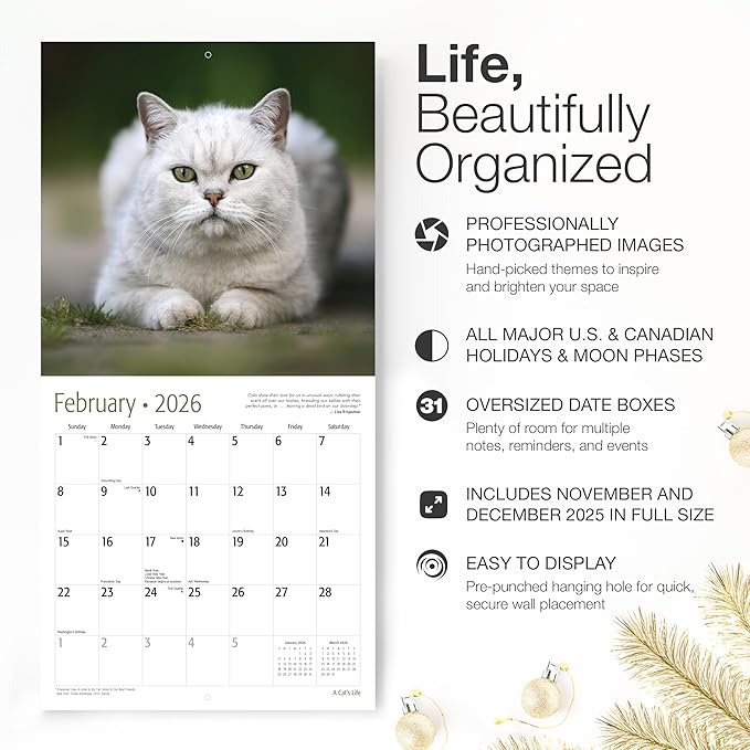 RED EMBER A Cat's Life 2026 Wall Calendar 12 Month | 12" x 24" Open | Thick & Sturdy Paper | Holiday Gift | Cute Kitten Cat Calendar 2026