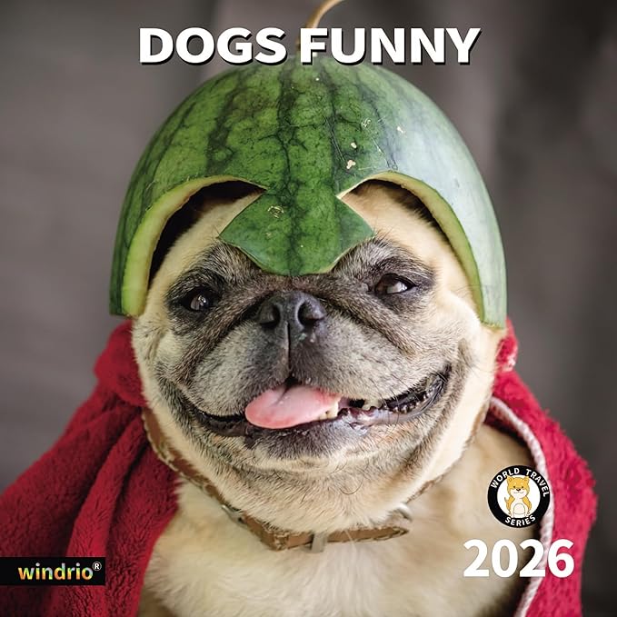 2026 Wall Calendar,Funny Calendar 2026, November 2025 - December 2026, Wall Calendar Funny Animal Memes, 12" x 24" Opened, Full Page 14 Months Thick Paper for Gift Calendar Organizing Planning