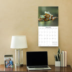 2026 Frogs Monthly Wall Calendar | Animals Calendar 2025-2026