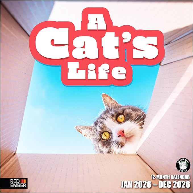 RED EMBER A Cat's Life 2026 Wall Calendar 12 Month | 12" x 24" Open | Thick & Sturdy Paper | Holiday Gift | Cute Kitten Cat Calendar 2026