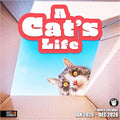RED EMBER A Cat's Life 2026 Wall Calendar 12 Month | 12" x 24" Open | Thick & Sturdy Paper | Holiday Gift | Cute Kitten Cat Calendar 2026