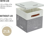 DECOMOMO Storage Basket with Lid, Storage Cubes with Handles, Fabric Box with Lid (Grey and White, 11” / 3 Pack)