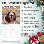 RED EMBER Basset Hounds 2025 Wall Calendar 12 Month | 12" x 24" Open | Thick & Sturdy Paper | Giftable | Dog Calendar 2025