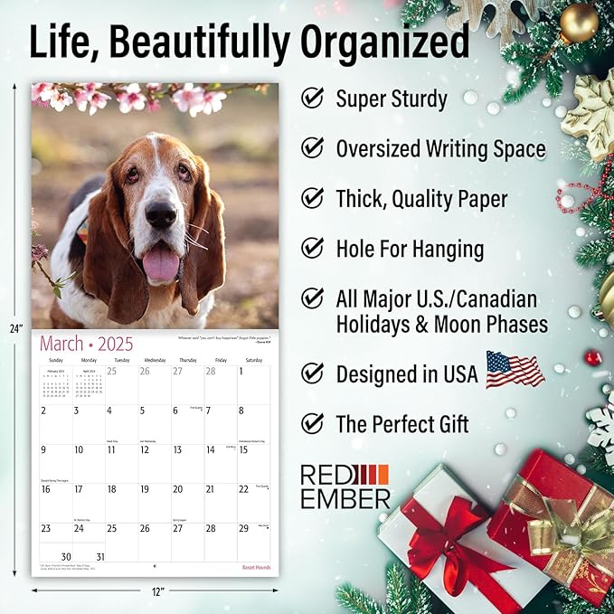 RED EMBER Basset Hounds 2025 Wall Calendar 12 Month | 12" x 24" Open | Thick & Sturdy Paper | Giftable | Dog Calendar 2025