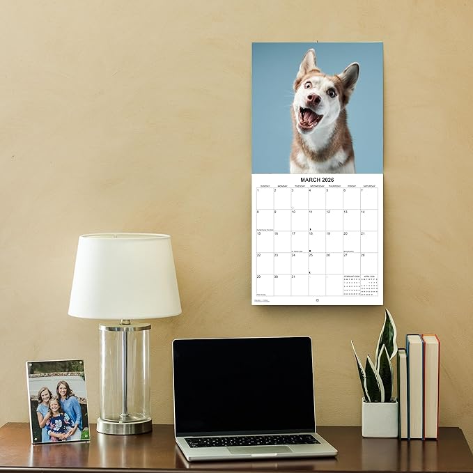 2026 Treat Time Monthly Wall Calendar | Funny Dogs Calendar September 2025 - December 2026
