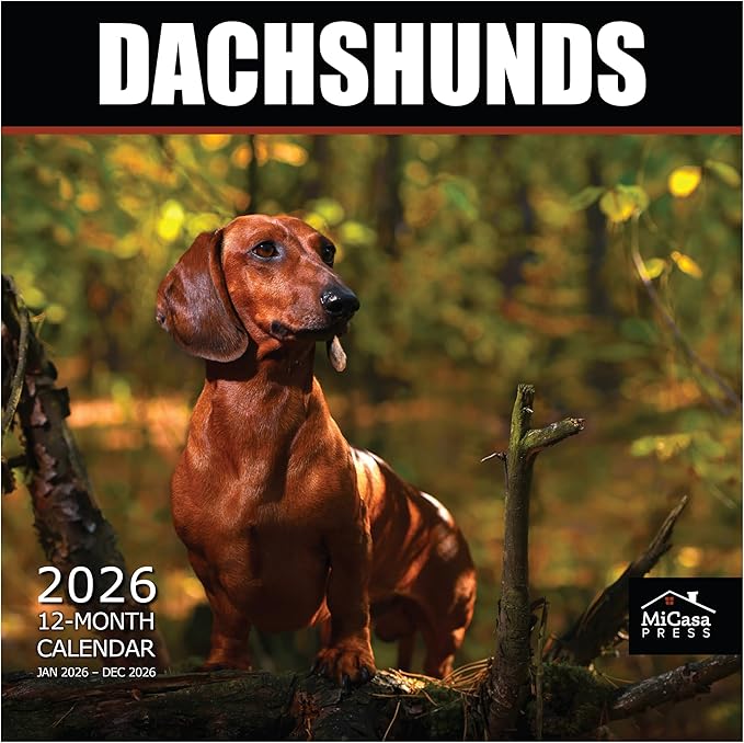MICASA PRESS Dachshunds 2026 Wall Calendar 12 Month | 12" x 24" Open | Thick & Sturdy Paper | Holiday Gift | Cute Weiner Puppy Dog Calendar 2026