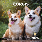 2026 Wall Calendar,Calendar 2026, November 2025 - December 2026, Wall Calendar Corgis, 12" x 24" Opened,Full Page Months Thick & Sturdy Paper for Gift Perfect Calendar Organizing & Planning