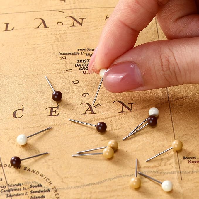 WILLBOND 500 Pack Map Push Pins Map Tacks Small Round Head Push Pins Thumb Tacks for Travel Picture Photo Bulletin Board Wall DIY Craft School Office Home(Beige, Khaki, Brown,1/6 Inch)