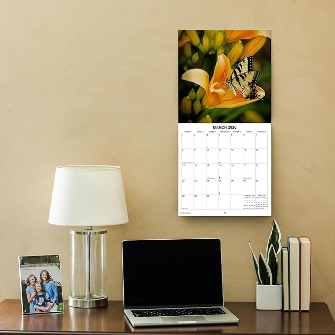 2026 Butterflies Monthly Wall Calendar | Insects Calendar 2025-2026