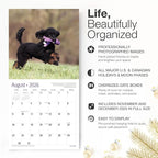RED EMBER Toy Poodles 2026 Wall Calendar 12 Month | 12" x 24" Open | Thick & Sturdy Paper | Holiday Gift | Cute Puppy Dog Calendar 2026