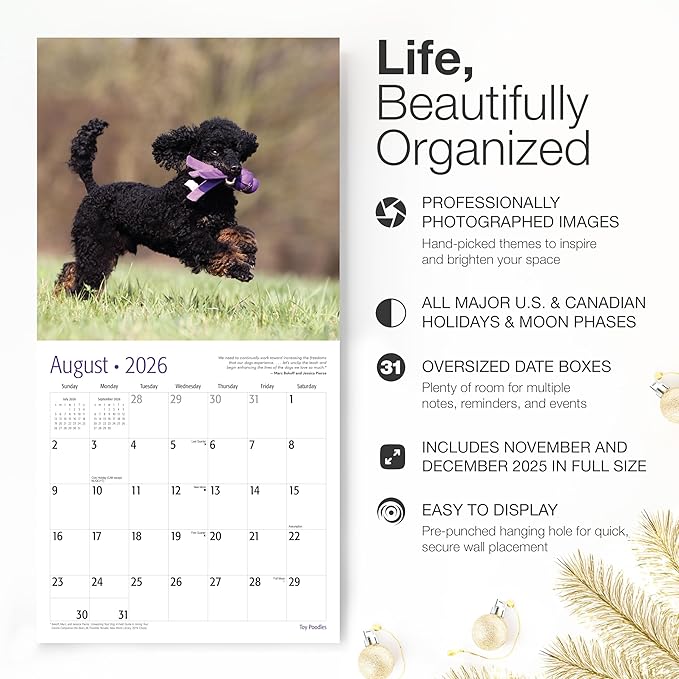 RED EMBER Toy Poodles 2026 Wall Calendar 12 Month | 12" x 24" Open | Thick & Sturdy Paper | Holiday Gift | Cute Puppy Dog Calendar 2026