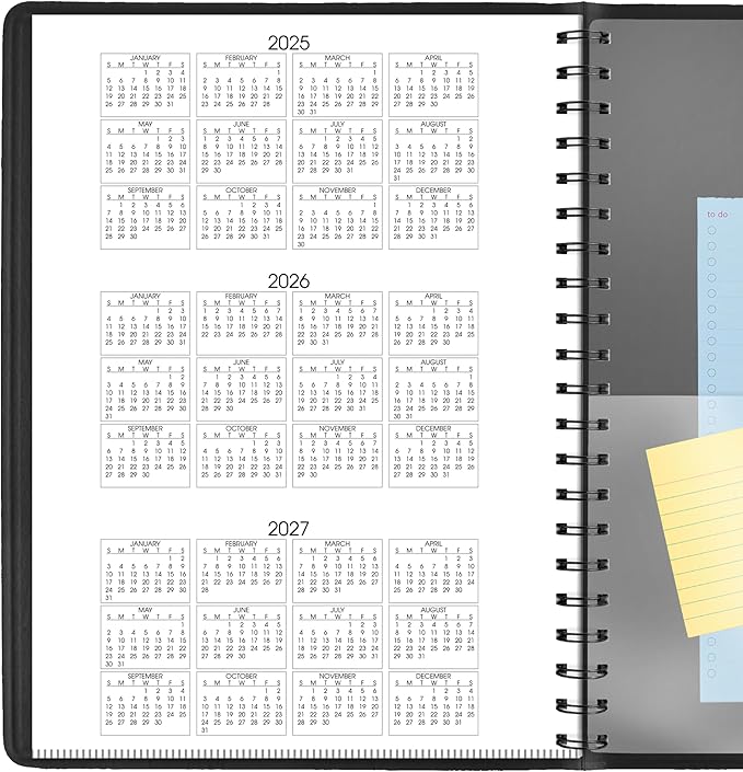 AT-A-GLANCE 2026 Appointment Book Planner, Daily, 8" x 11", Large, Four Person Group, Black (708220526)