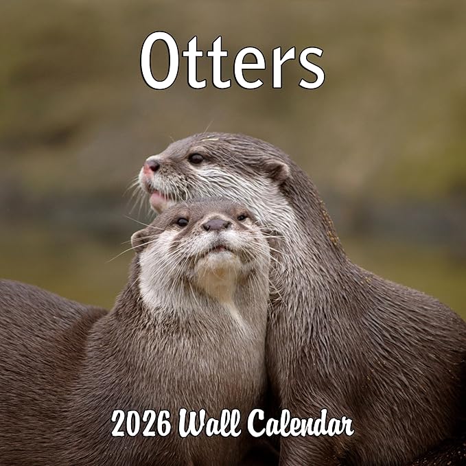 2026 Otters Monthly Wall Calendar | Cute Animals Calendar 2025-2026