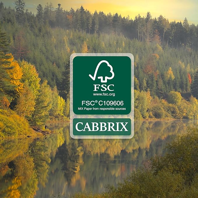 Cabbrix Desk Calendar 2026 with Desktop Mat, Simple Desk Pad Calendar 15 x 12 Inch Covering January 2026 to December 2026, Desk Blotter Calendar for Home School and Office