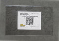 Mighty Line Heavy Duty Clear Label Protectors Cover for Protecting Floor Markings, Barcodes, Numbers and Stickers, Pre-Cut Roll, Peel and Stick, Adhesive, Adhesive, 2" Wide by 4" Long, Pack of 150