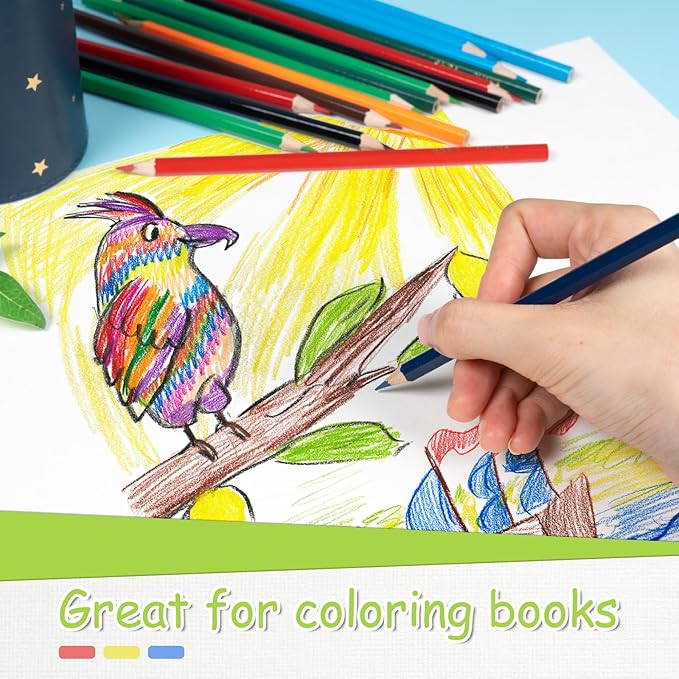 S & E TEACHER'S EDITION Colored Pencils 240Pcs,Coloring Pencils Set Drawing Pencils for Sketch, Woodcase Lead Pencils, Wooden Colored Pencils, Back to school Christmas Gifts