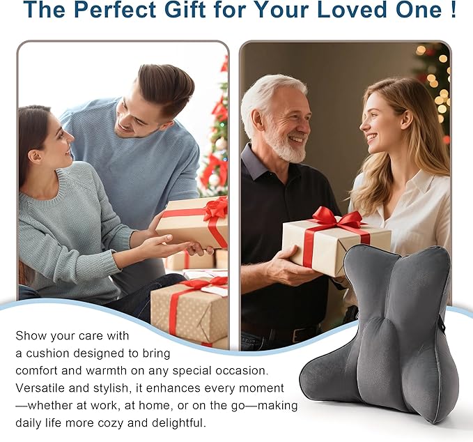 Ailuteie Lumbar Support Pillow(Pat. Pend) – Ergonomic Multi-Zone Back Cushion for Lower Back Pain Relief, Ideal for Office Chair, Car Seat & Home Reading,Steel Gray
