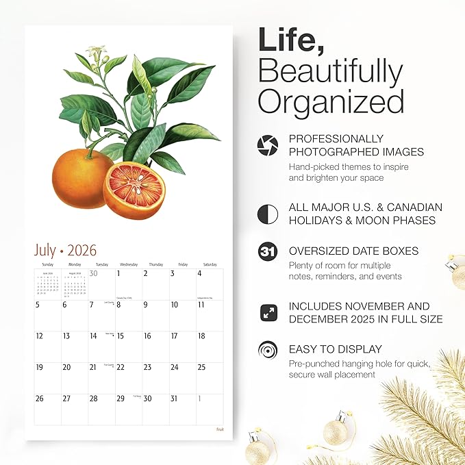 RED EMBER Fruit 2026 Wall Calendar 12 Month | 12" x 24" Open | Thick & Sturdy Paper | Holiday Gift | Art Nature Calendar 2026
