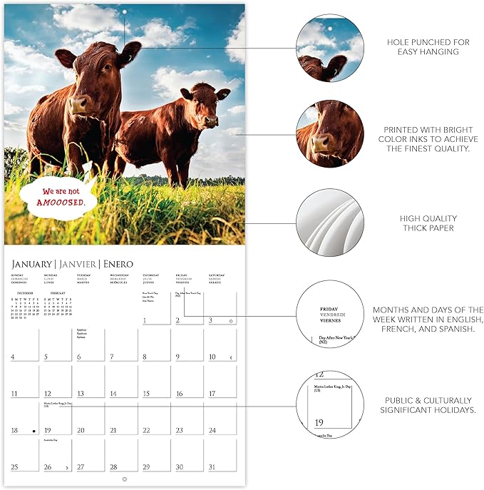 Graphique 2026 On the Farm Wall Calendar | 12” x 12” | Thick Paper | Home & Office Organizer | Large Monthly Grid | 3 Languages & Marked Holidays | 4 Month Preview Page for 2027