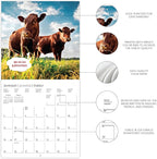Graphique 2026 On the Farm Wall Calendar | 12” x 12” | Thick Paper | Home & Office Organizer | Large Monthly Grid | 3 Languages & Marked Holidays | 4 Month Preview Page for 2027