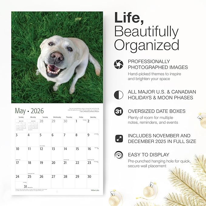 RED EMBER Yellow Labs 2026 Wall Calendar 12 Month | 12" x 24" Open | Thick & Sturdy Paper | Holiday Gift | Cute Labrador Retriever Puppy Dog Calendar 2026