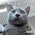 2026 Wall Calendar,Funny Calendar 2026, November 2025 - December 2026, Wall Calendar Funny Animal Memes, 12" x 24" Opened, Full Page 12 Months Thick Paper for Gift Calendar Organizing Planning